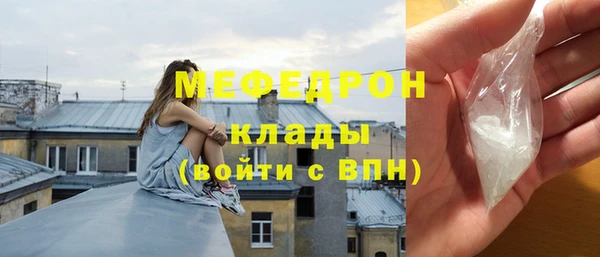 прущие грибы Михайлов