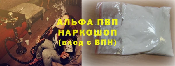 прущие грибы Михайлов