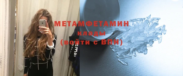 прущие грибы Михайлов