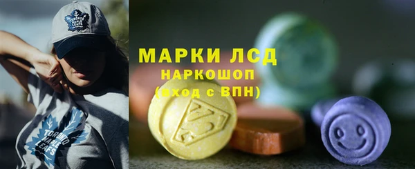 прущие грибы Михайлов
