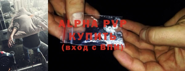 прущие грибы Михайлов