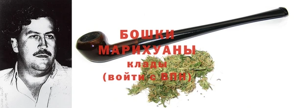 прущие грибы Михайлов
