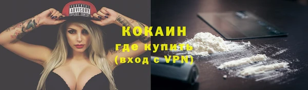 твердый Михайловск