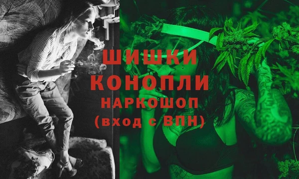 прущие грибы Михайлов