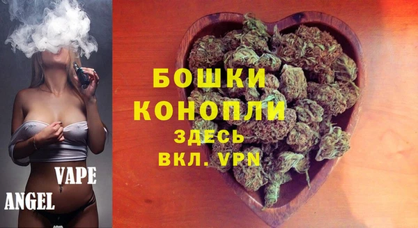 прущие грибы Михайлов