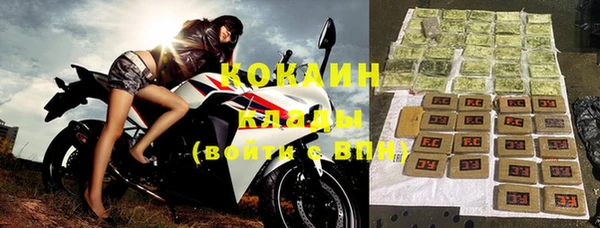 прущие грибы Михайлов