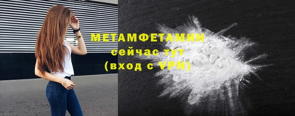 прущие грибы Михайлов